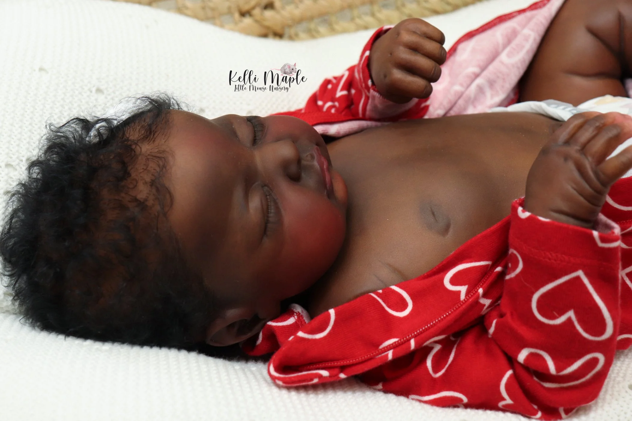 IMG_6929 - Kelli Maple Reborn Dolls Bep by JoyLynn Wong for Sale | Realistic Vinyl Reborn Baby Doll
