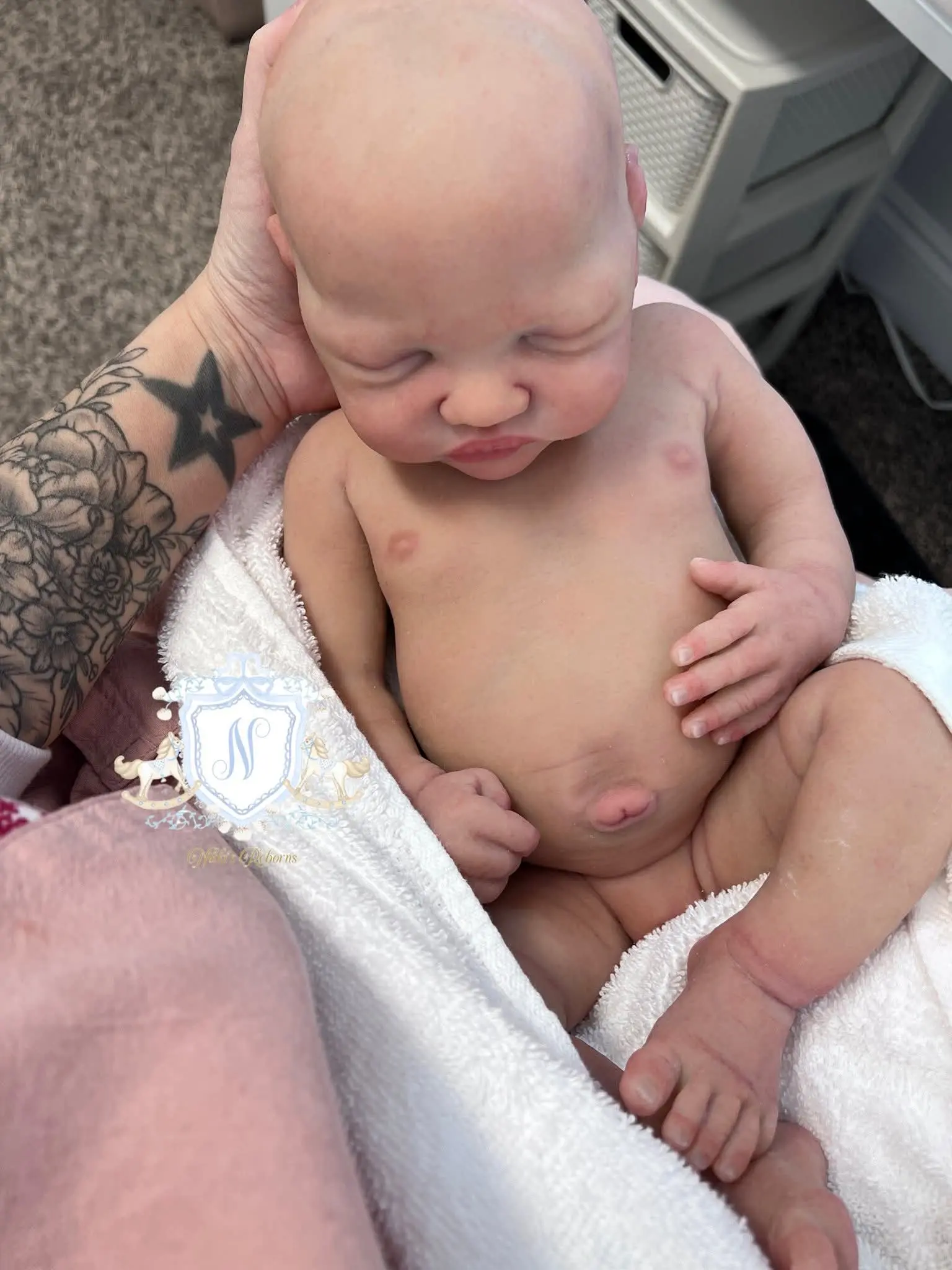 Full Body Silicone Reborn Doll