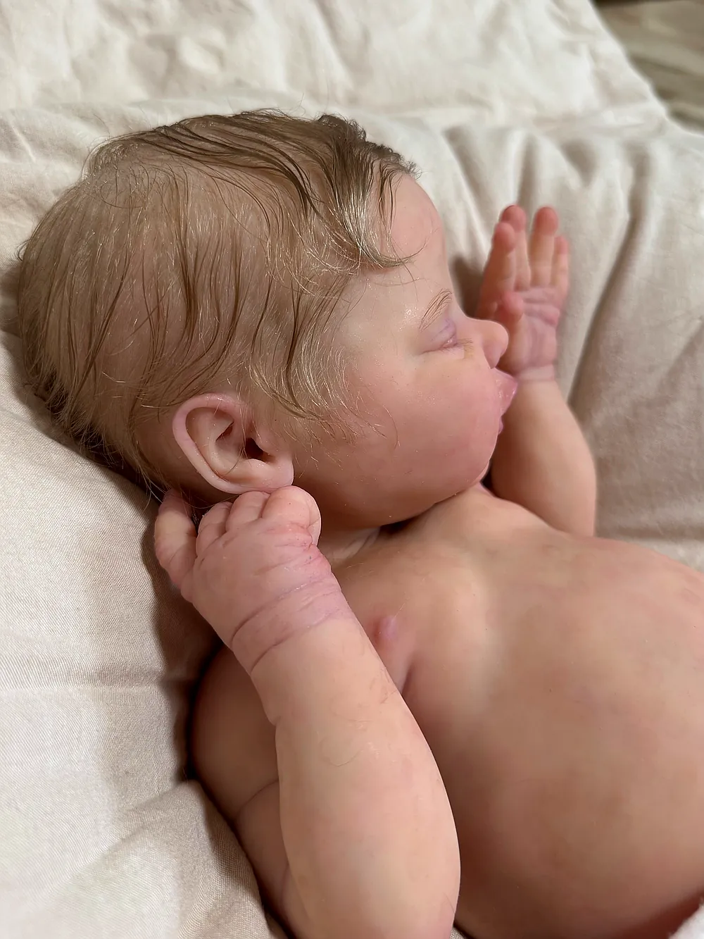 174986976712x - Kelli Maple Reborn Dolls