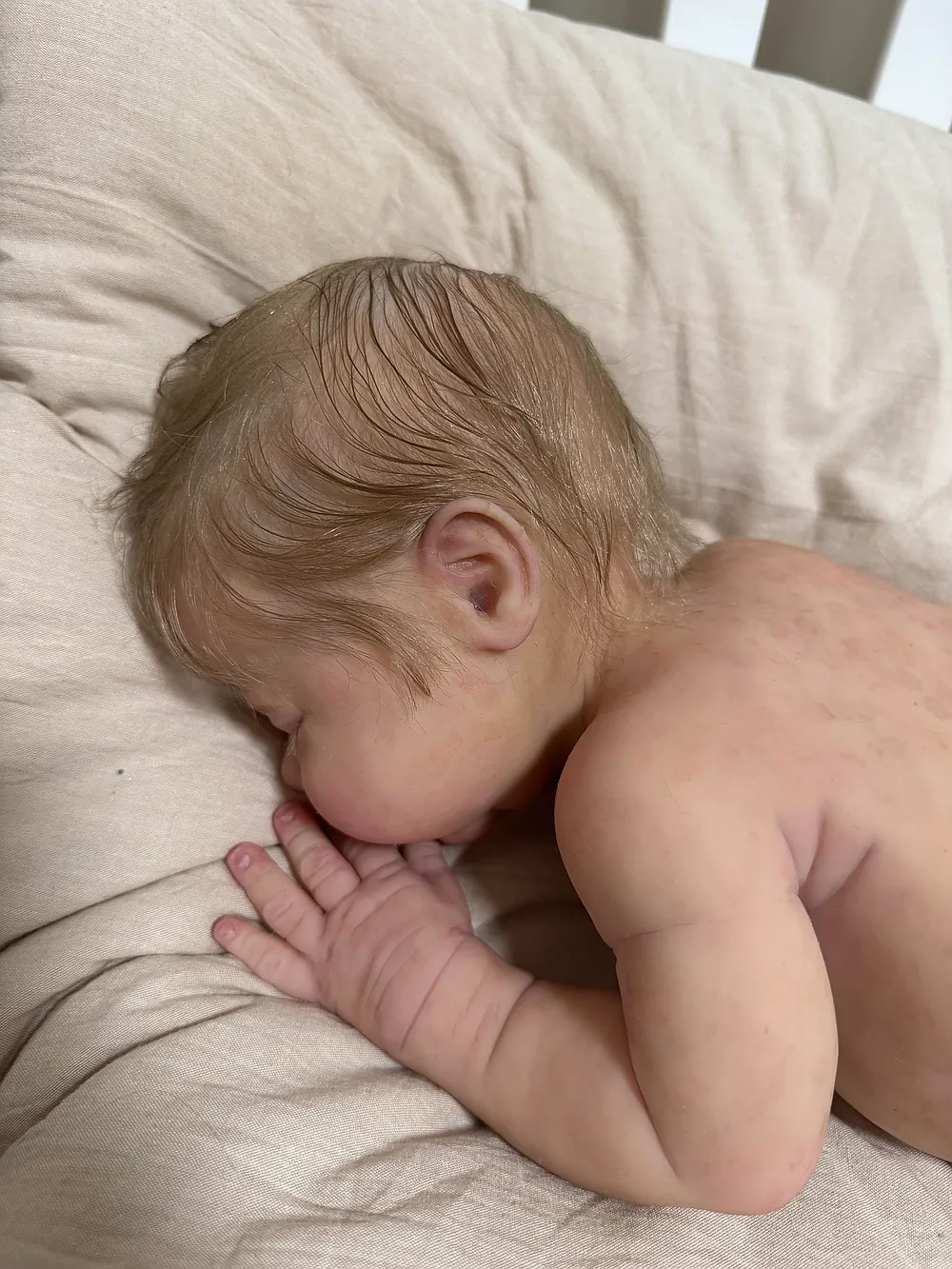 17498697676x - Kelli Maple Reborn Dolls