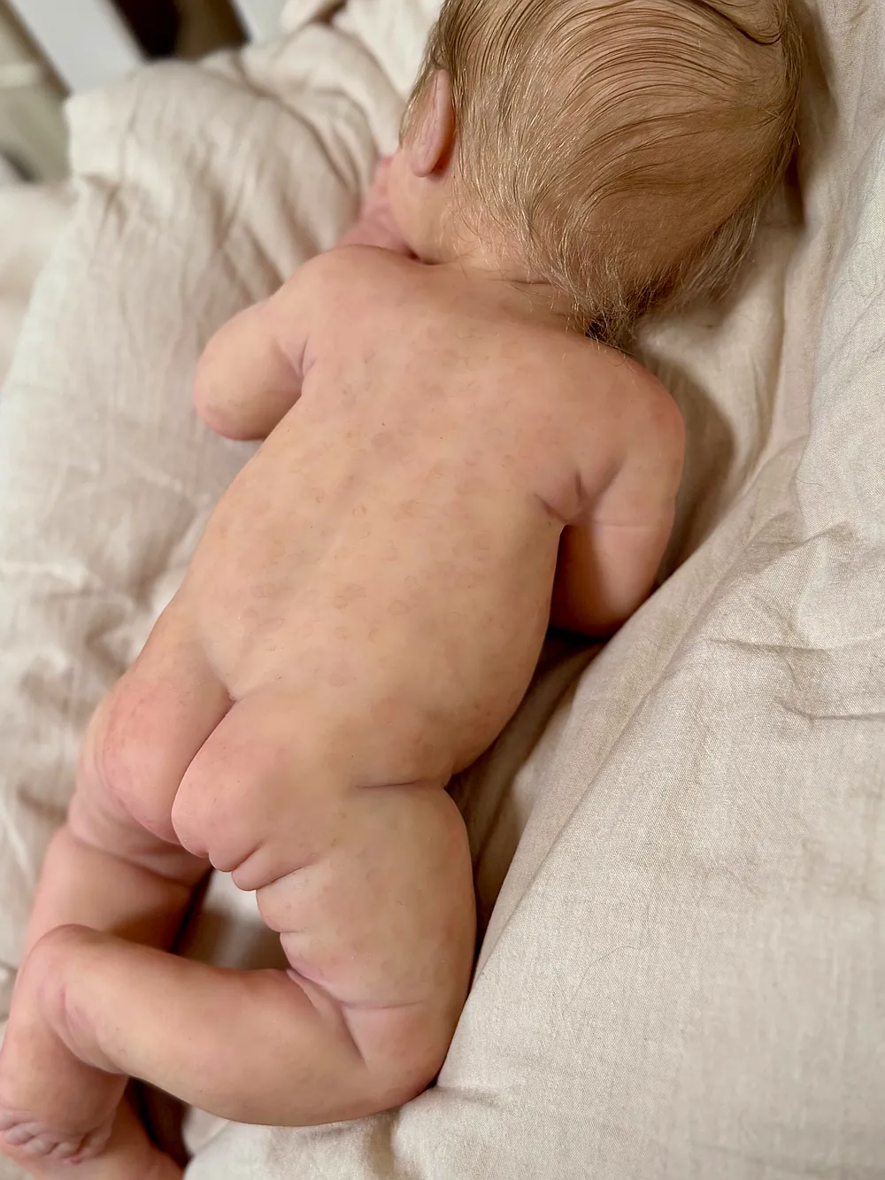 17498697677x - Kelli Maple Reborn Dolls
